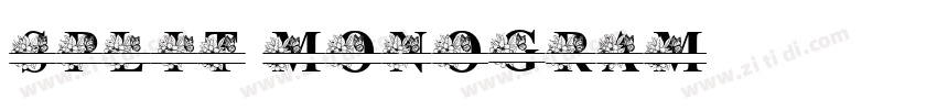 Split Monogram字体转换 Split Monogram字体转换